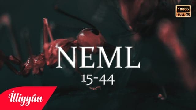 Bakalım tanıyacak mı? | Neml Sûresi 15-44