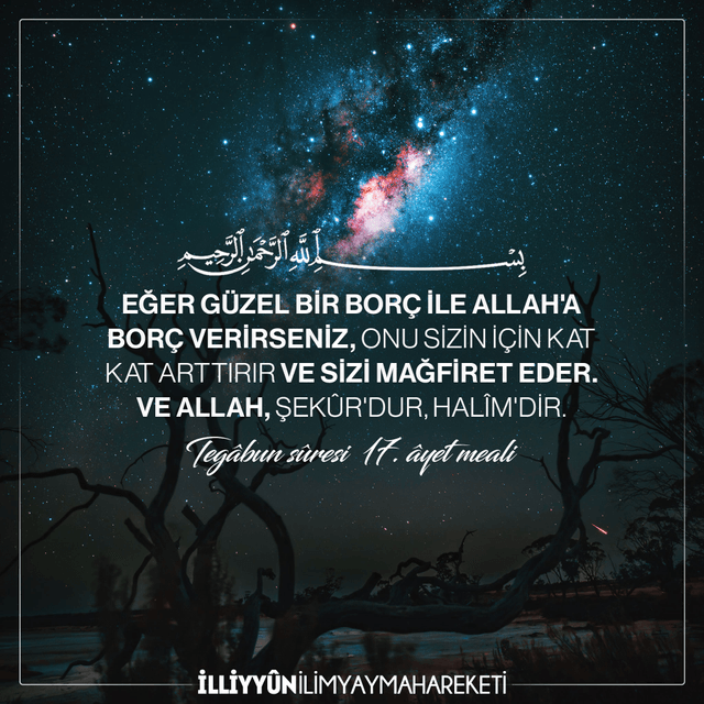 Tegâbun Sûresi 17-Kuranı kerim-Ayetler